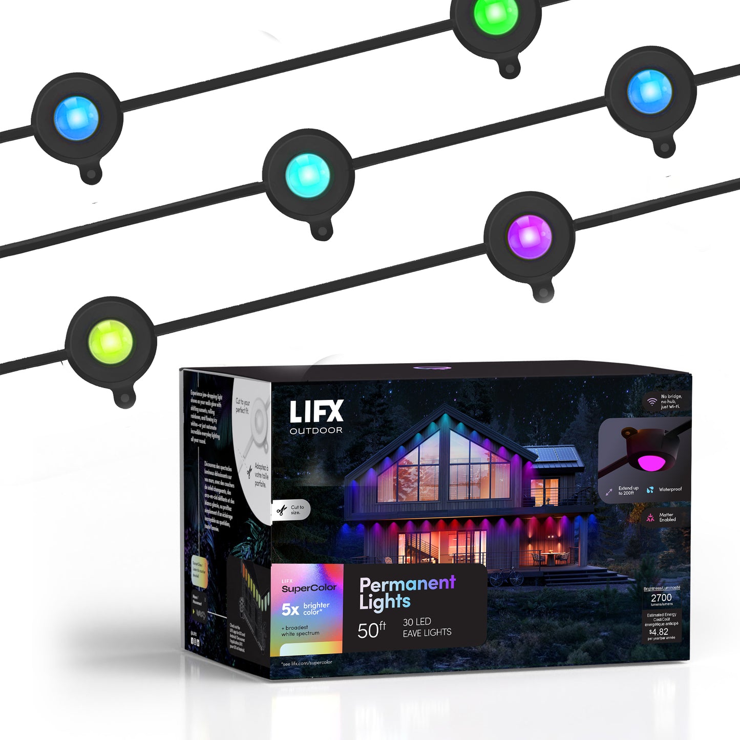 Outdoor Permanent Lights