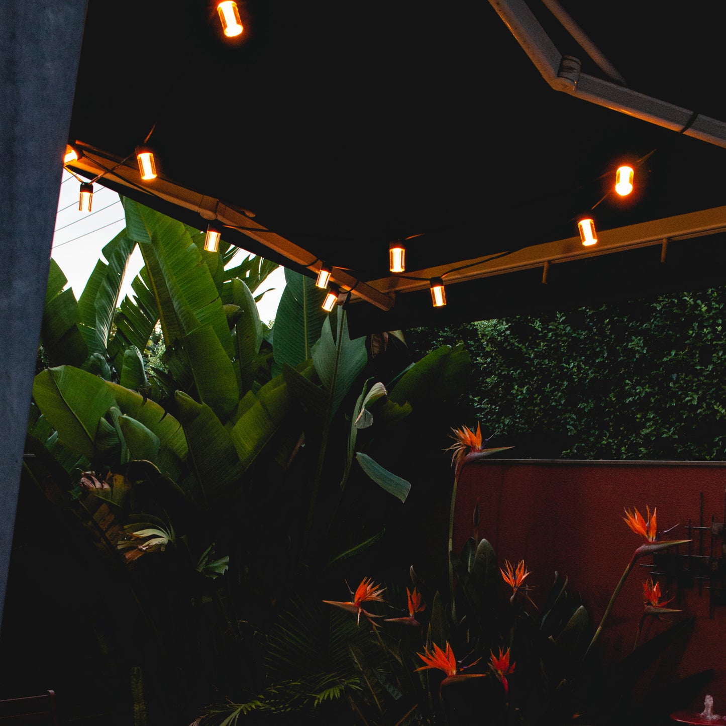 Outdoor String Lights