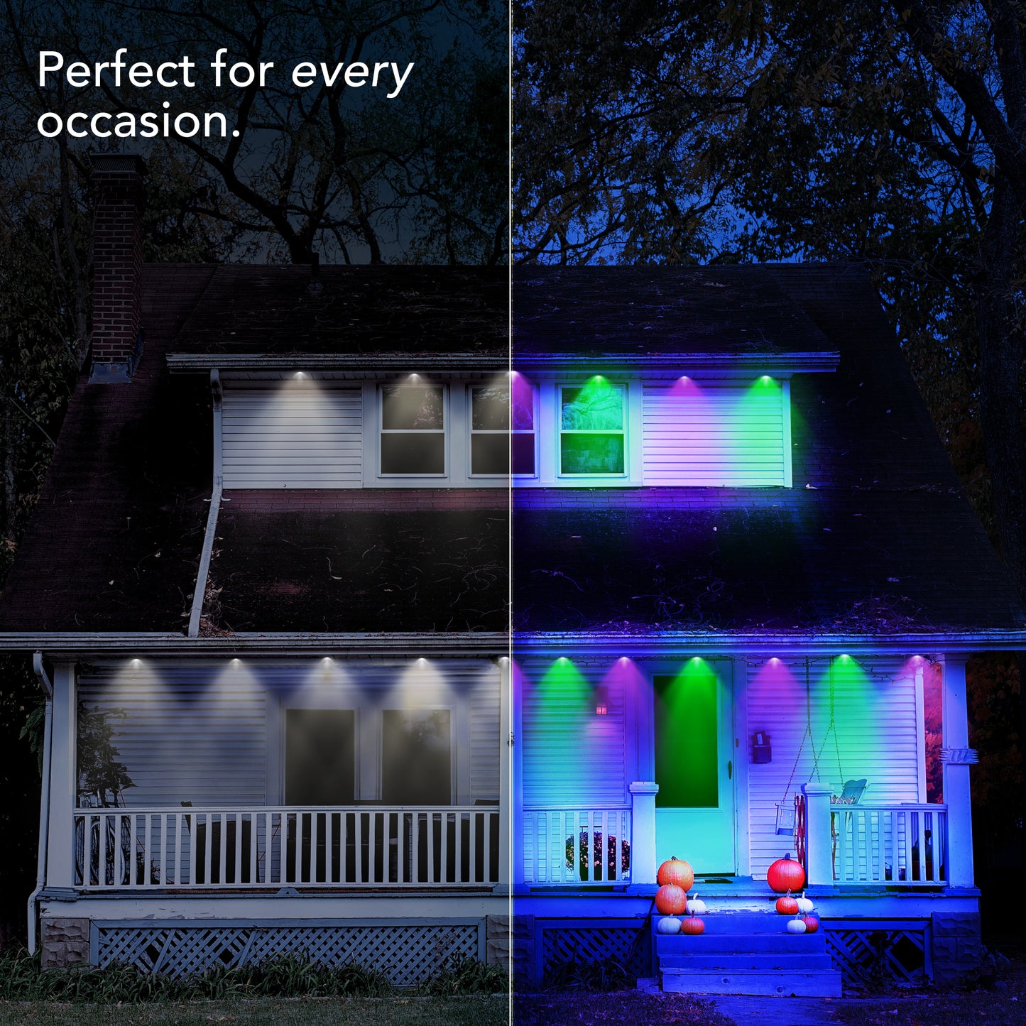 Outdoor Permanent Lights
