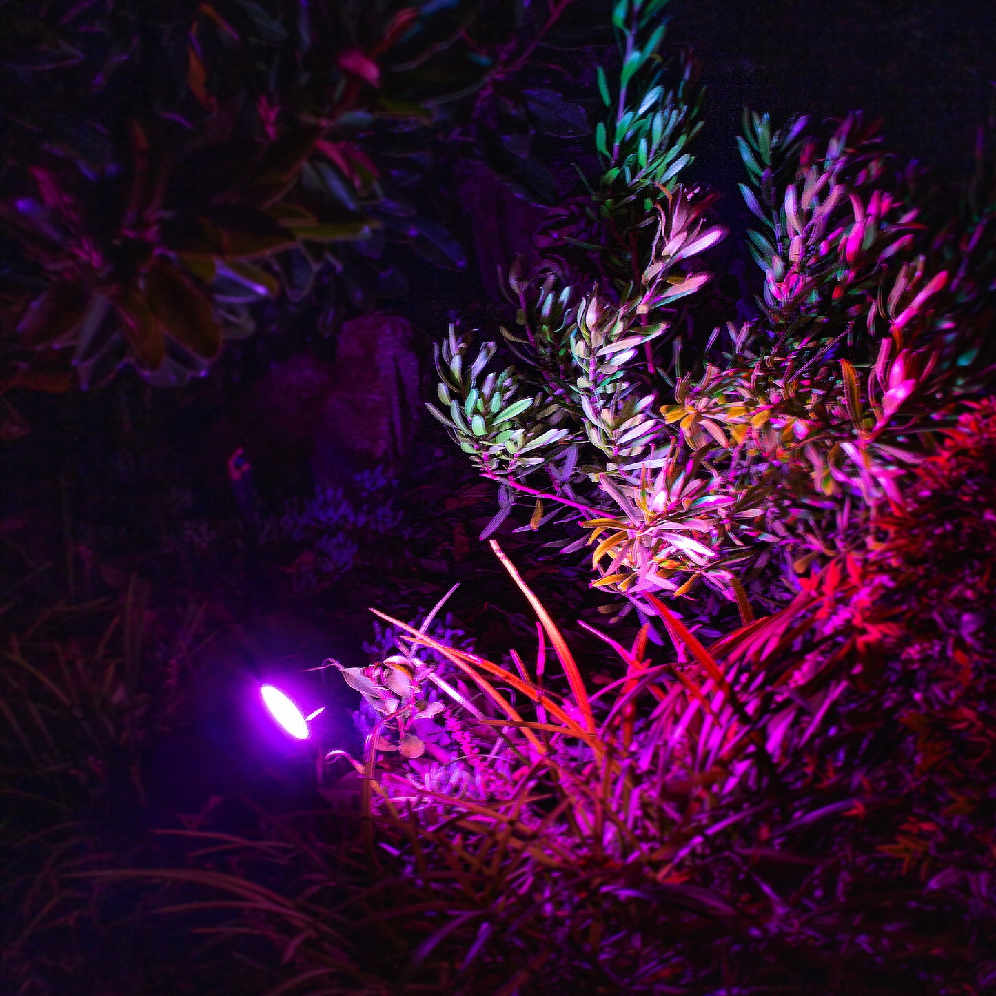 Outdoor Spot Lights