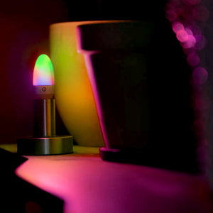 Decorative Bulbs