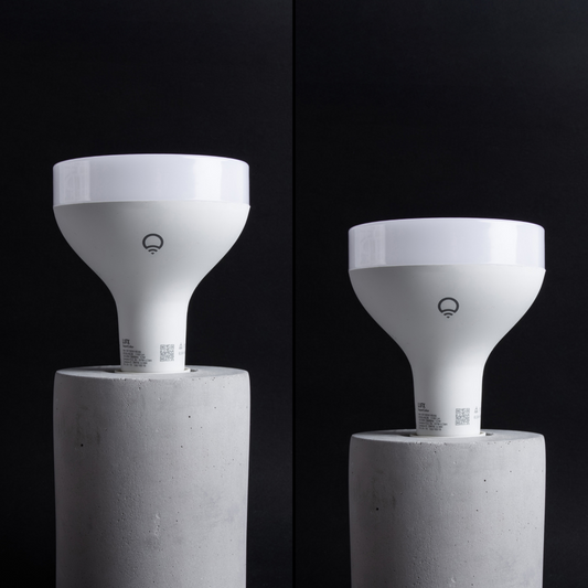 BR30 Smart Light