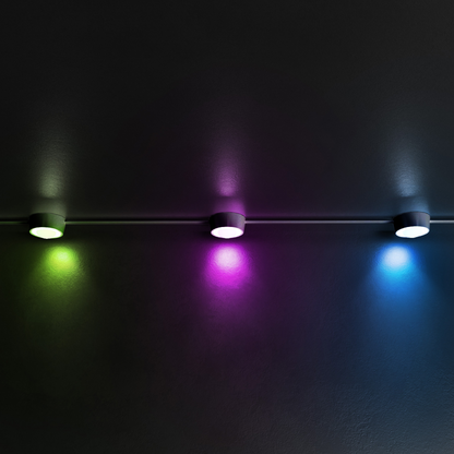 Permanent Lights Kit 50ft