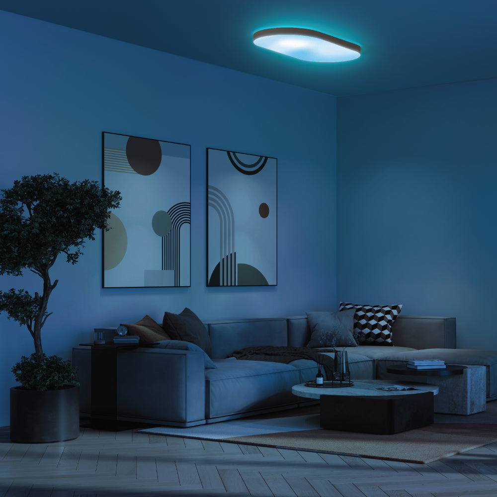 LIFX SuperColor 26" Ceiling Light White Trim + 2 Button Switch Bundle