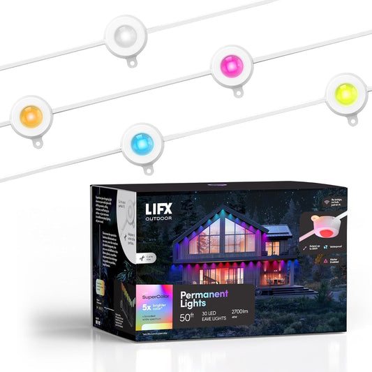 Outdoor Permanent Lights