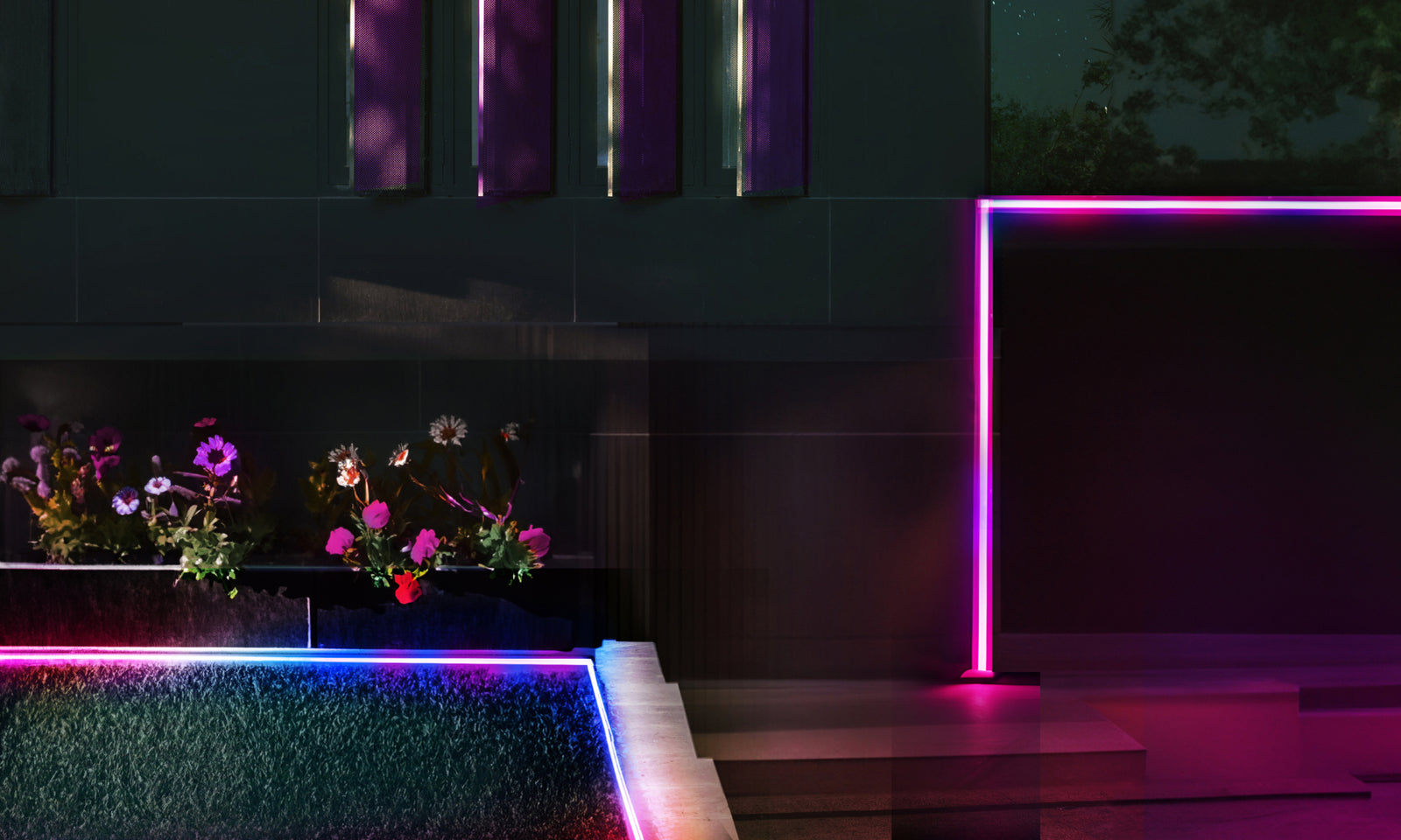 Meet the LIFX Outdoor Neon Flex